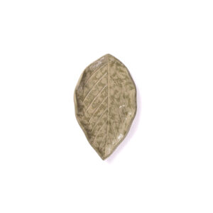 Plato Hoja